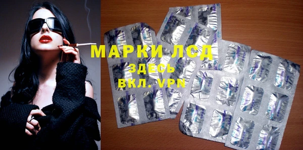 прущие грибы Алексин