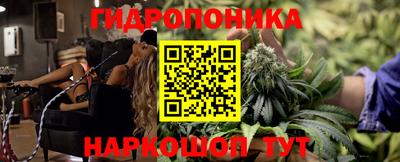 прущие крисы Славгород