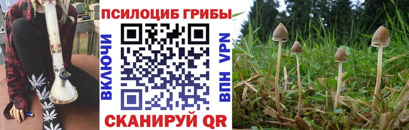 Галлюциногенные грибы Cubensis  Кудрово 
