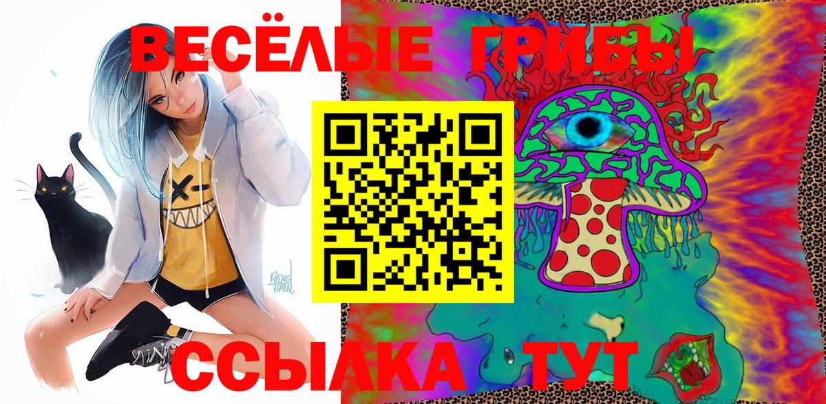 Кудрово  Cocaine  Вход с VPN  Мефедрон  Гашиш  Меф МЯУ МЯУ   Гашиш  Каннабис 