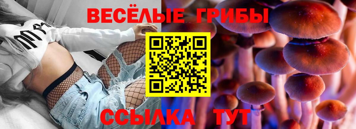 Галлюциногенные грибы Psilocybe  Галлюциногенные грибы Psilocybe  Вход с VPN  закладка  Кудрово 