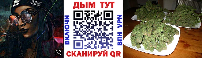 Шишки марихуана THC 21%  закладка  Кудрово 
